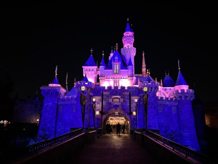 sleeping beauty castle at night