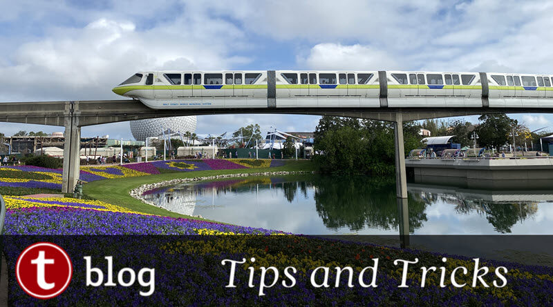 Staying Healthy at Disney World cover image showing monorail lime traveling above flower beds at EPCOT