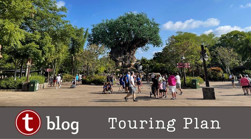 animal kingdom no genie touringplan cover image showing crowds in front of the Tree of Life at Animal Kingdom