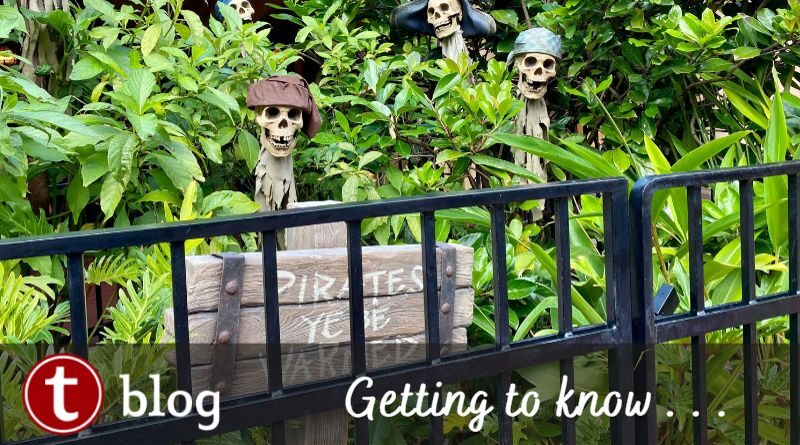 Where to find Disney Pirates at Disney World