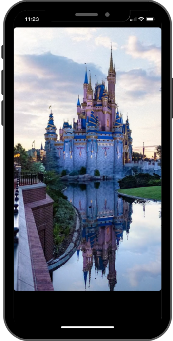 A picture of Cinderella Castle