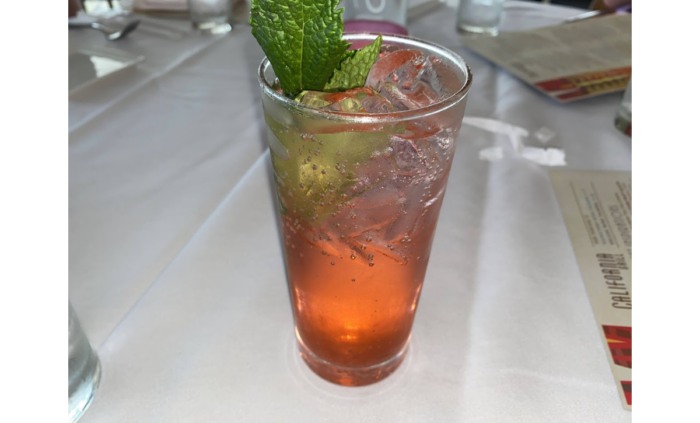 A tall glass with a reddish-orange soda, ice, and a sprig of mint at the top.