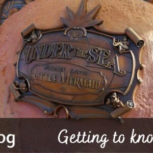 Getting to Know Under the Sea Journey of the Little Mermaid cover image showing a rock that has a brass plaque with nautical styling and the ride's name on it.