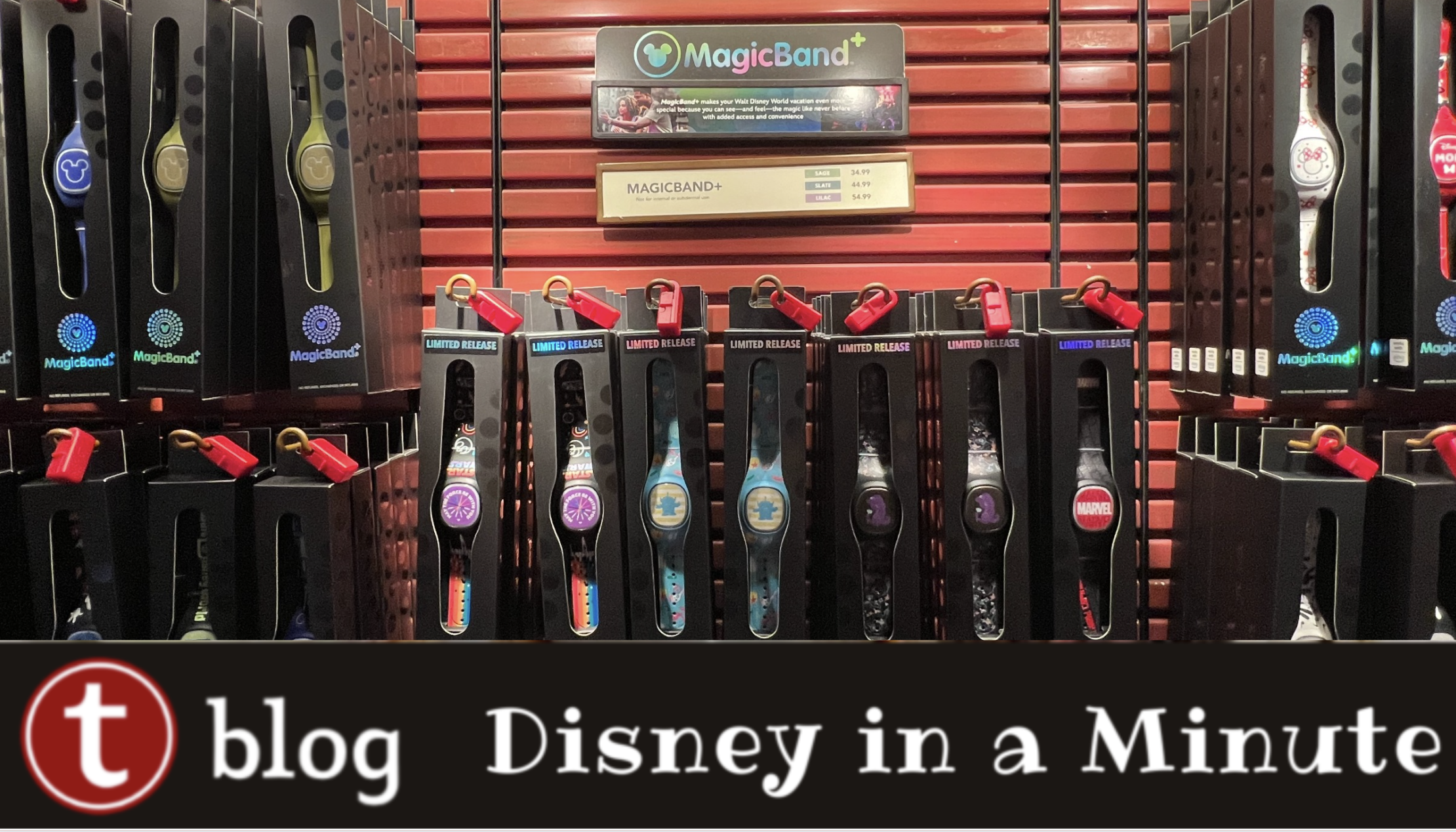 shopDisney does a huge release of eleven new MagicBands - Disney