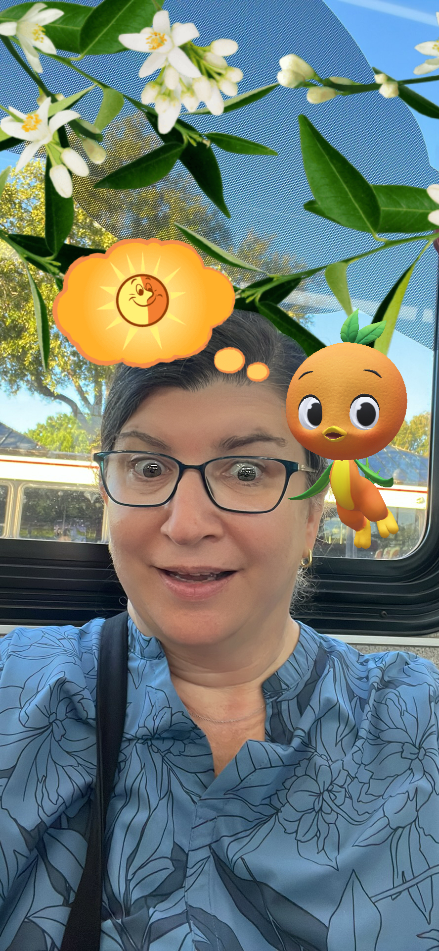 Disney in a Minute Who is Orange Bird? Blog