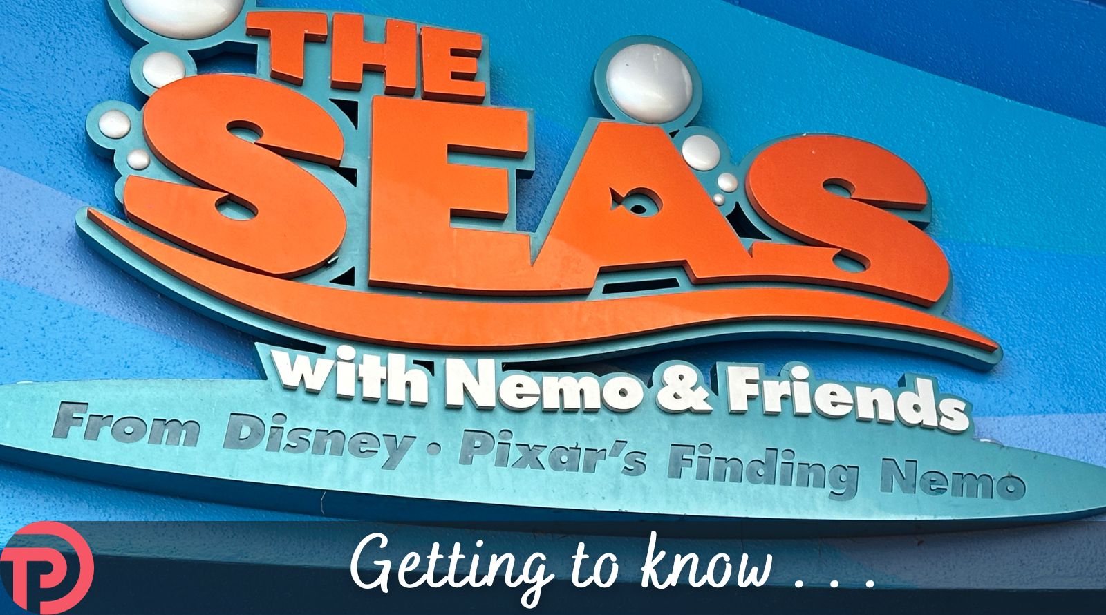 Five Things to Know About The Seas With Nemo and Friends